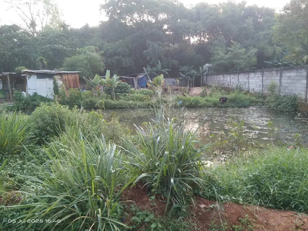 Jual kolam ikan