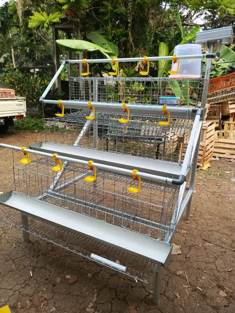 Kandang ayam petelur paket ternak rumahaan