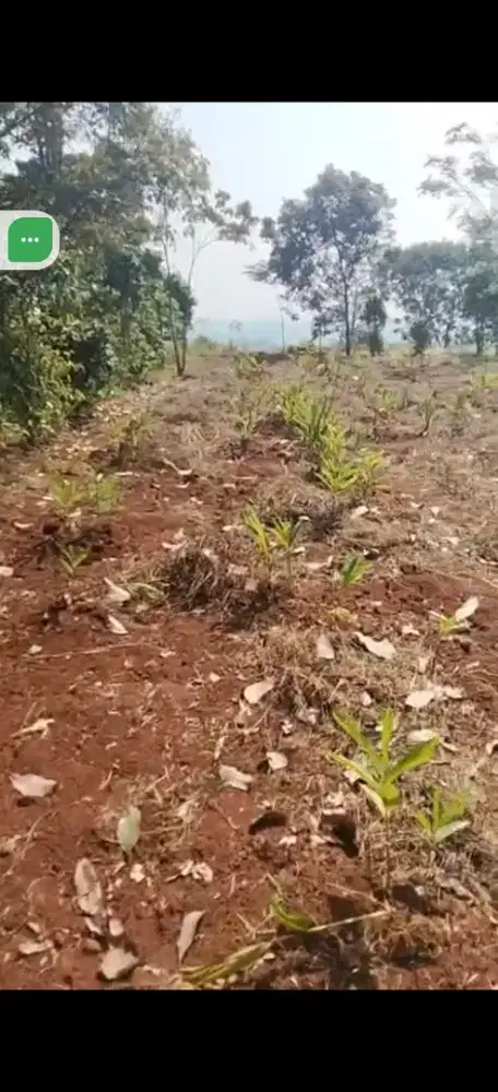 Di jual lahan murah datar