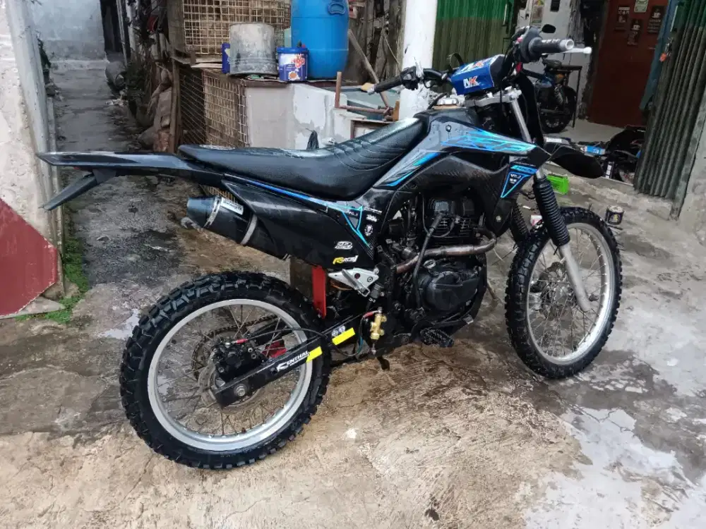 crf basic verza