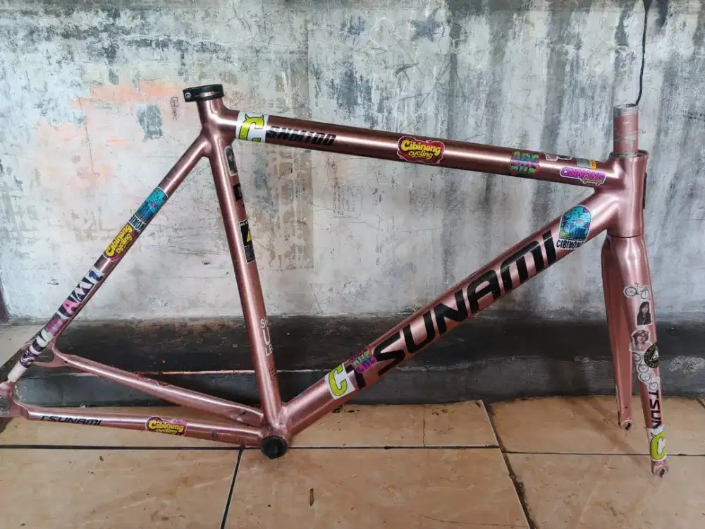Frame set TSUNAMI snm 100 gen 2