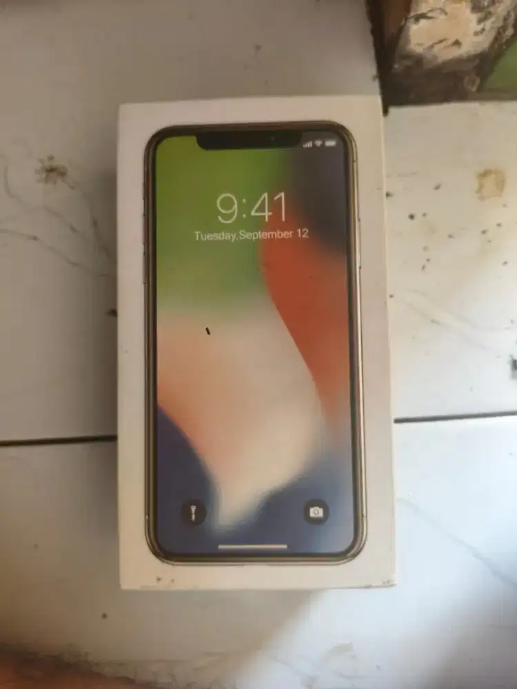 iPhone X 4/64 Inter
