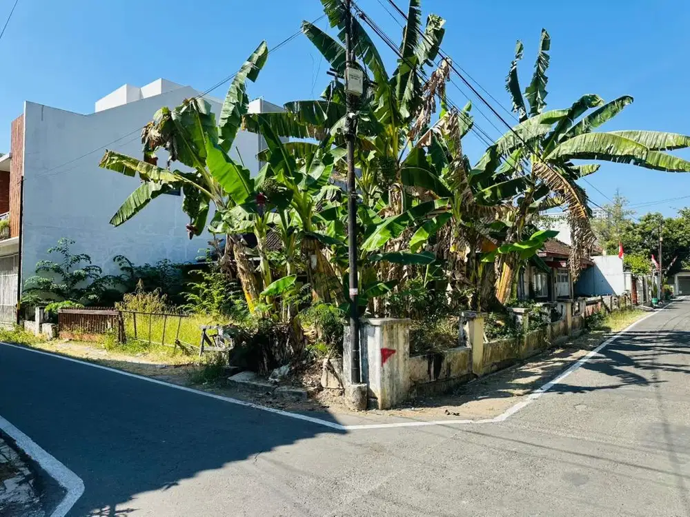 Disewakan rumah untuk usaha cafe