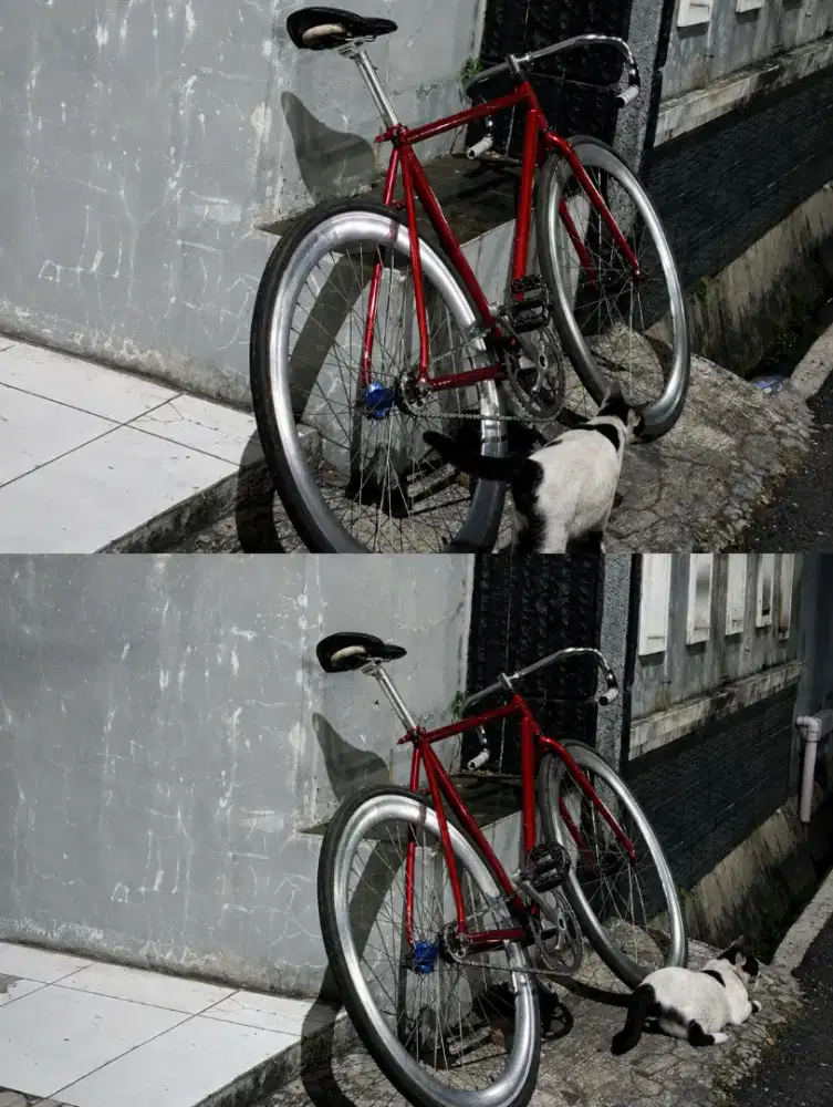 WTS FIXIE CLASSIC