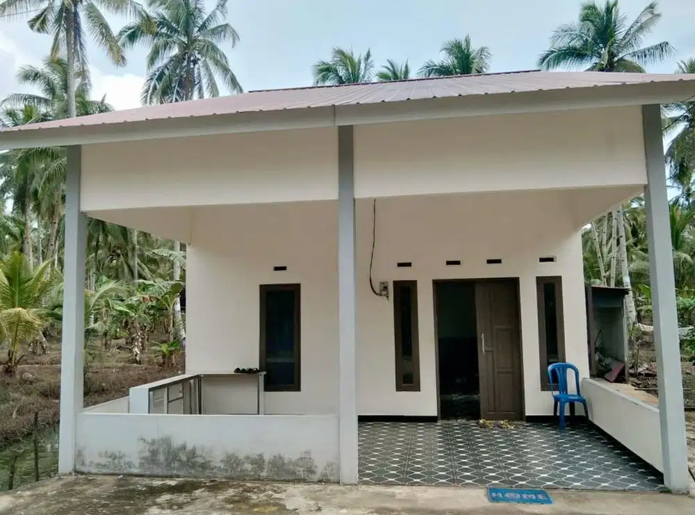 DiJual kebun kelapa + Rumah luas 5,8 hektar