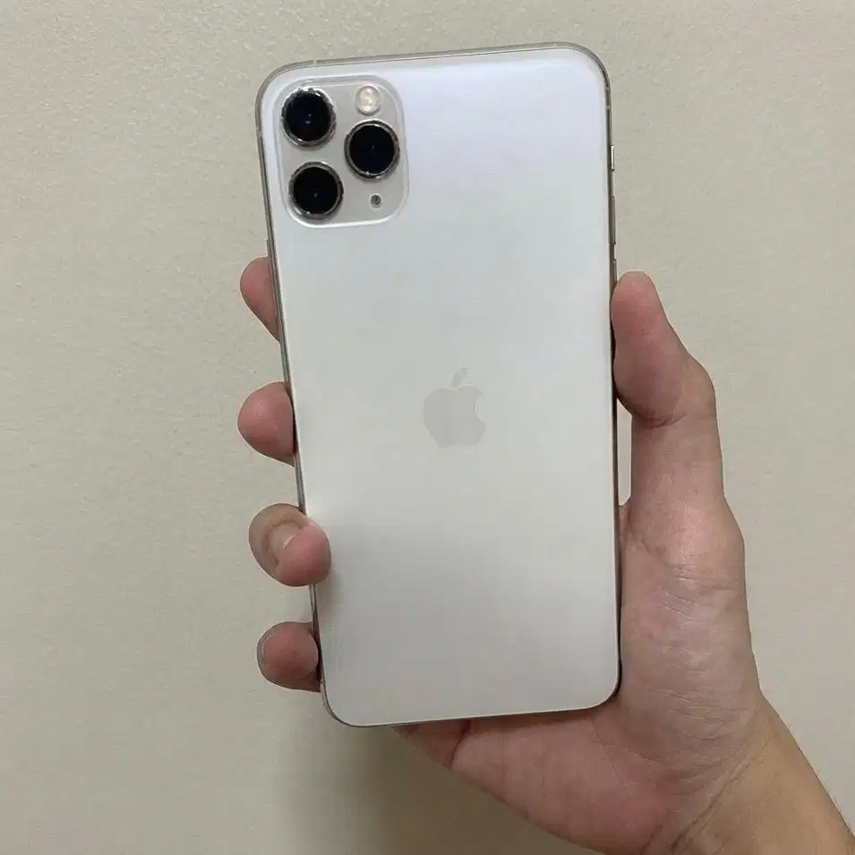 Iphone 11 ProMax Inter Silver 256gb Batang