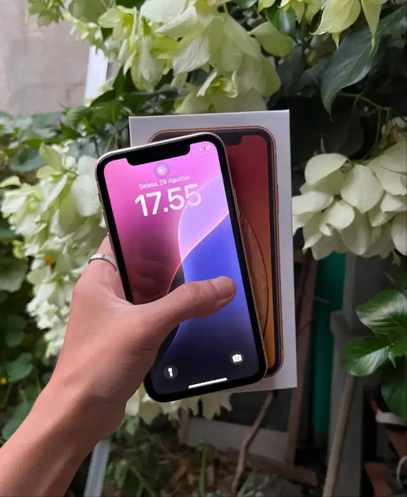 iPhone Xr 64gb Yellow