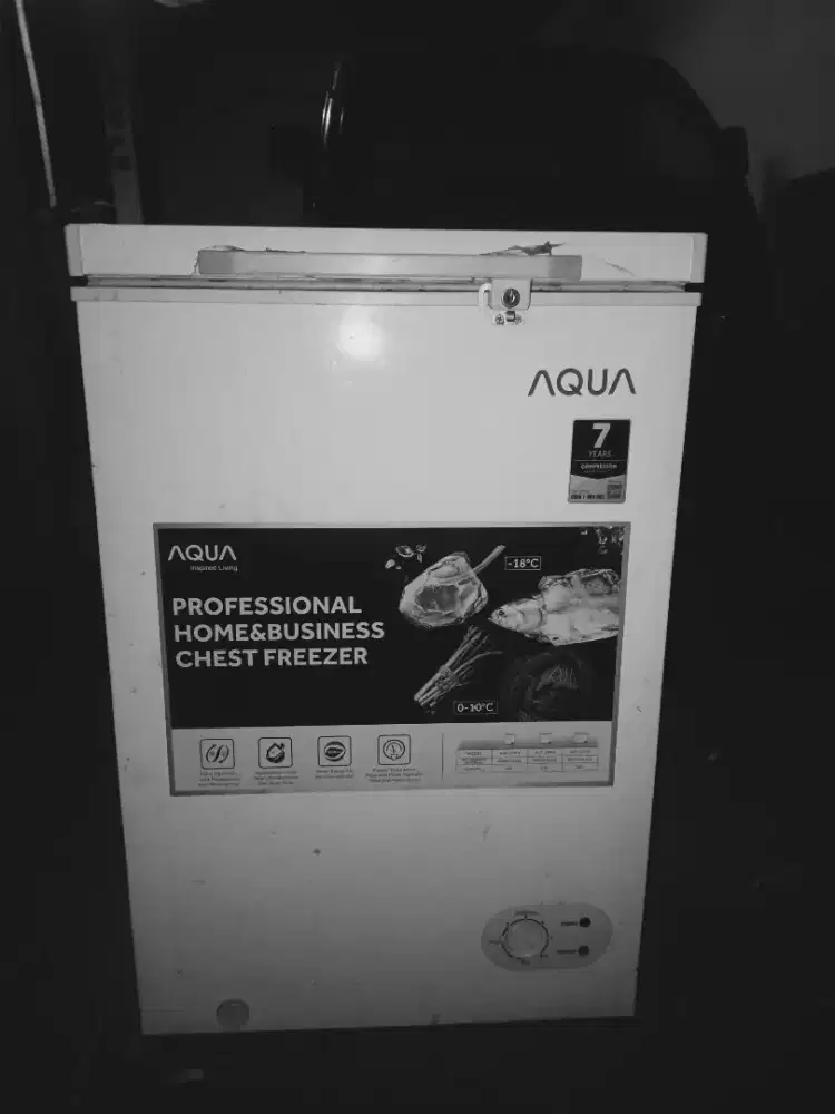Freezer box Aqua 100L