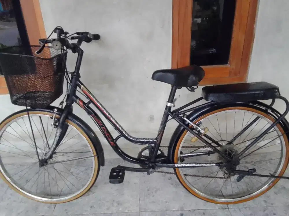 Sepeda keranjang wimcycle 24