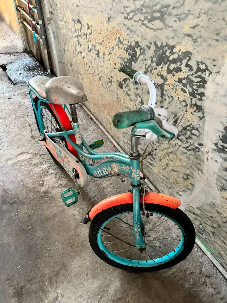 Dijual sepeda anak normal