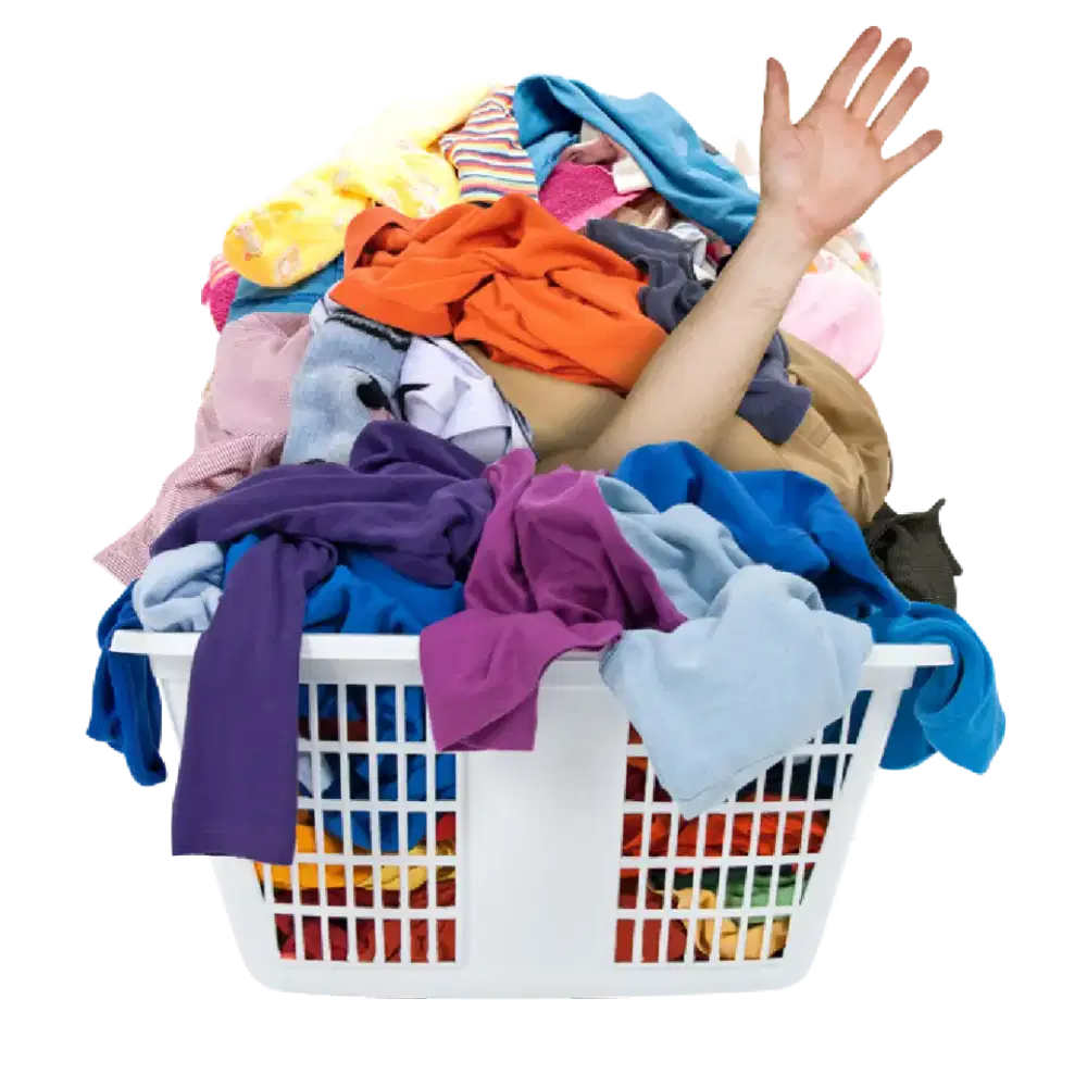 Dibutuhkan segera 2 org  staff kurir dan Admin Laundry  Ciater BSD