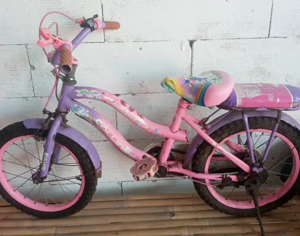 Sepeda anak cewe 16