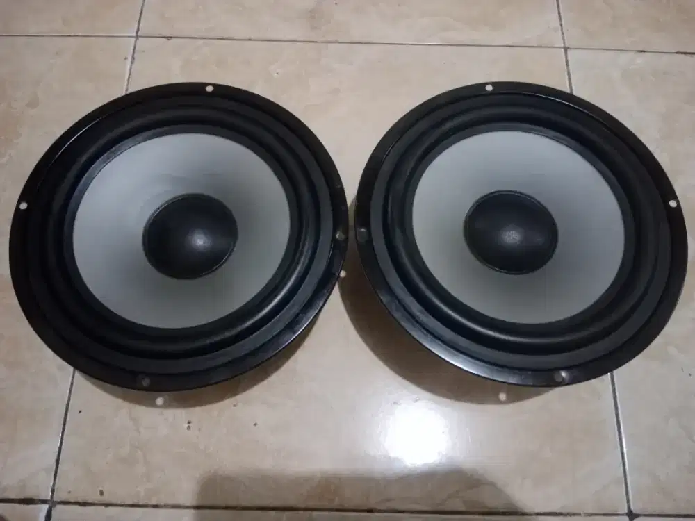 Woofer 8 inch ex ROADMASTER aktif speaker