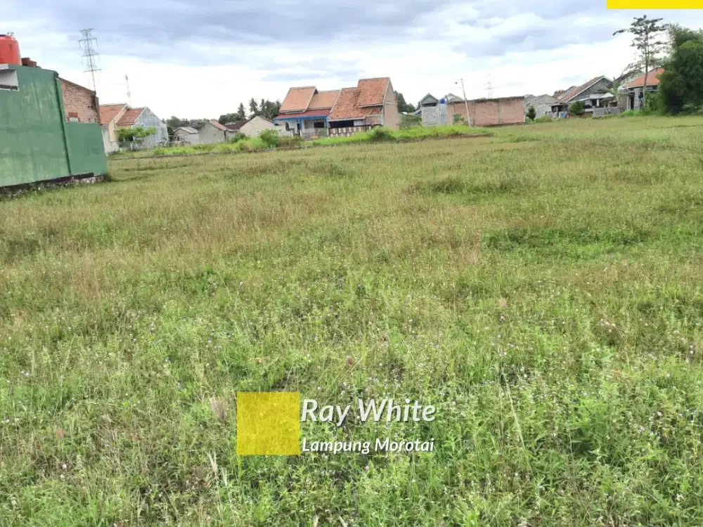 Dijual Tanah di Tanjung senang, Bandar Lampung (Kode : RE ALN 3751)