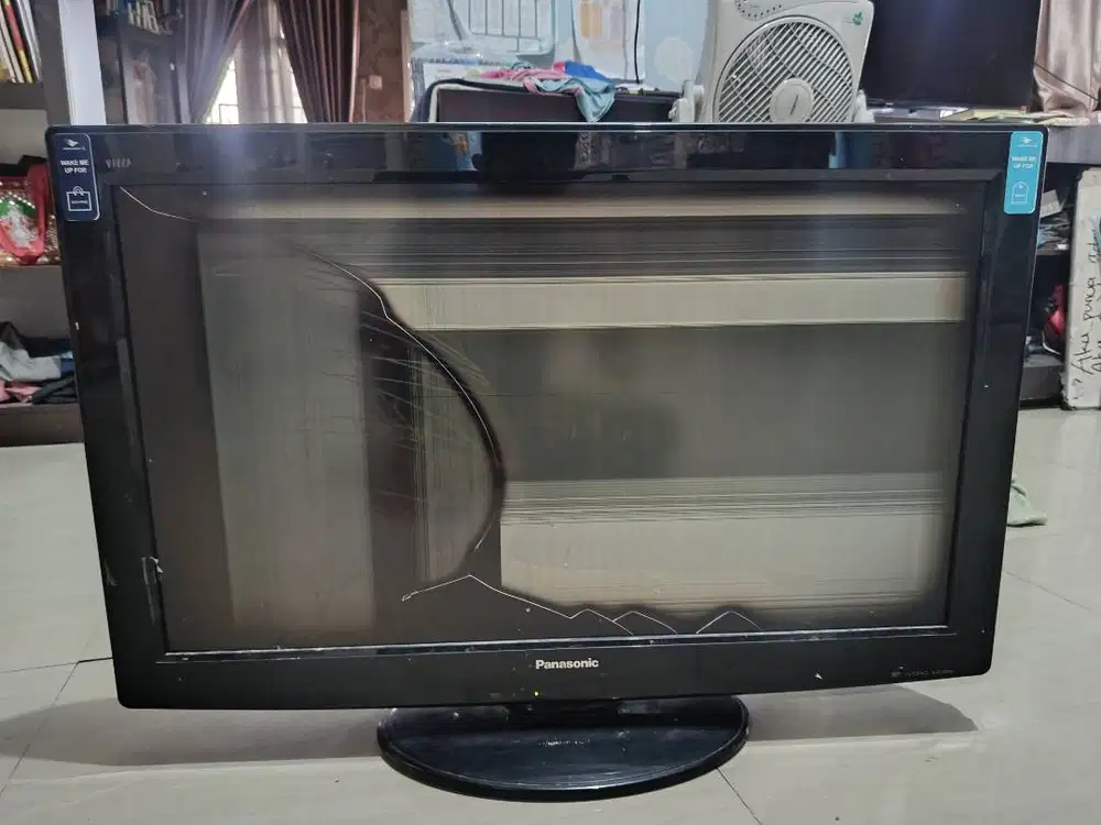TV Panasonic 2010