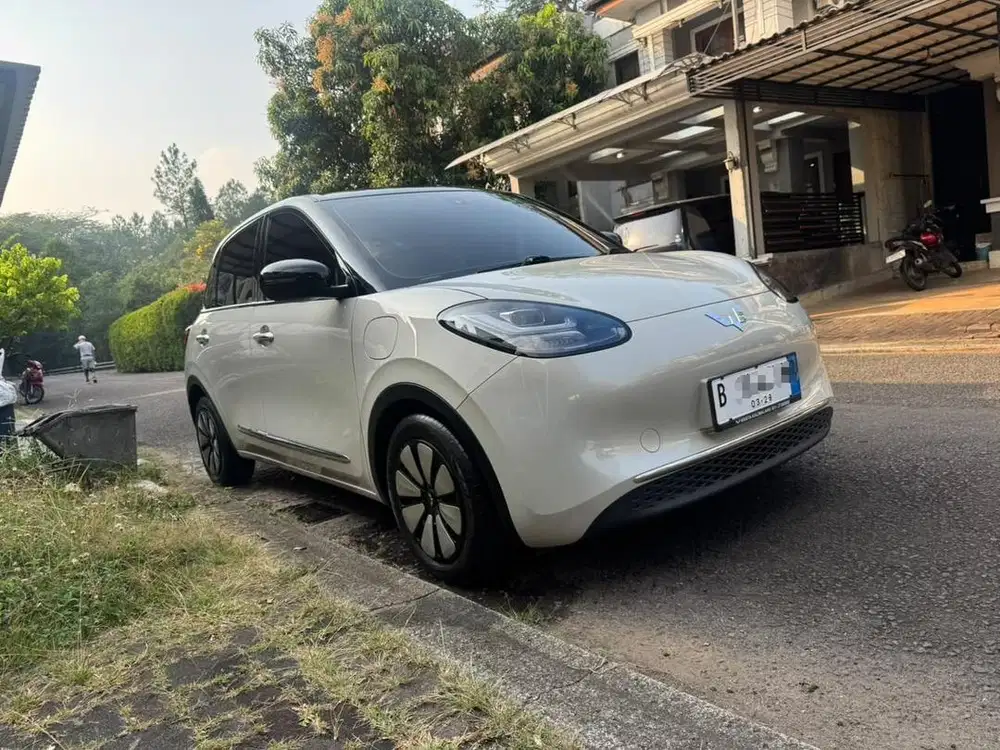 [Low KM] Binguo Premium Range 410km