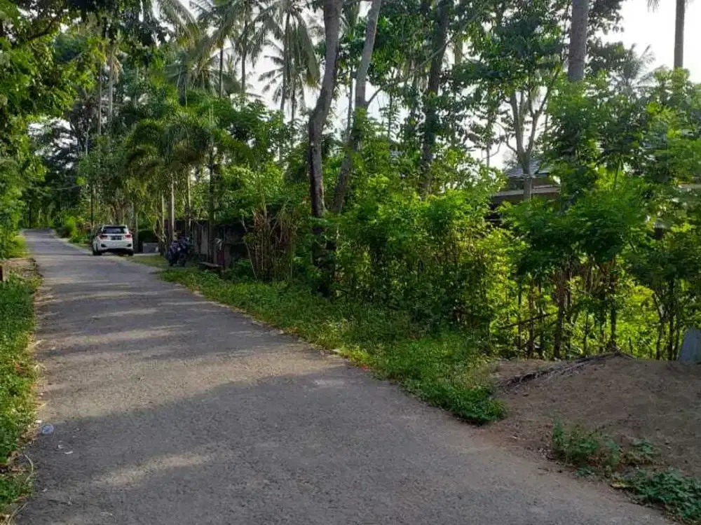 Tanah di Jln Wisata alam Kerandangan