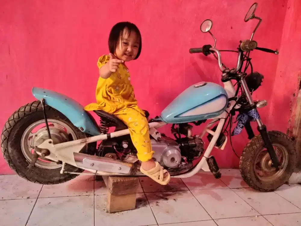 Motor Mini Chopper Custom