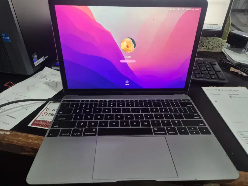 Macbook 12 inch early 2016