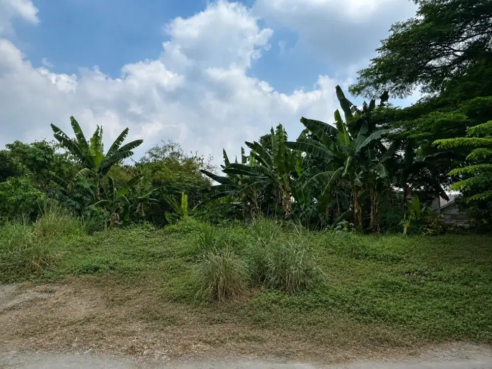 Dijual Cepat Tanah Murah Rata Persegi Panjang di Pusat Kota Ciledug