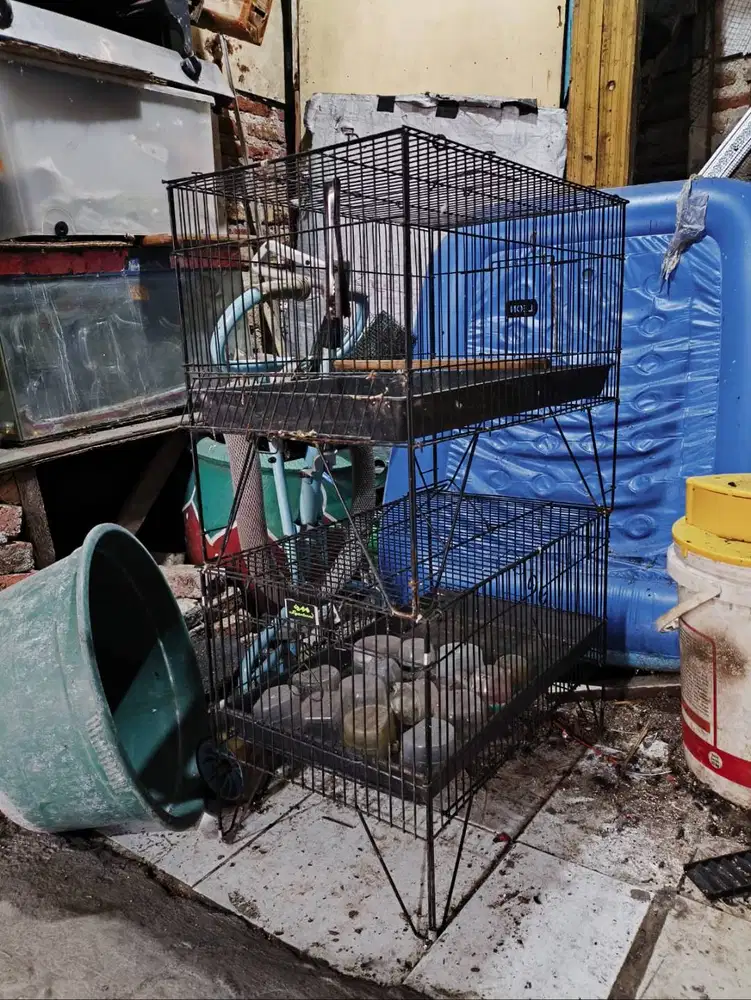 Sangkar mandi burung no minus
