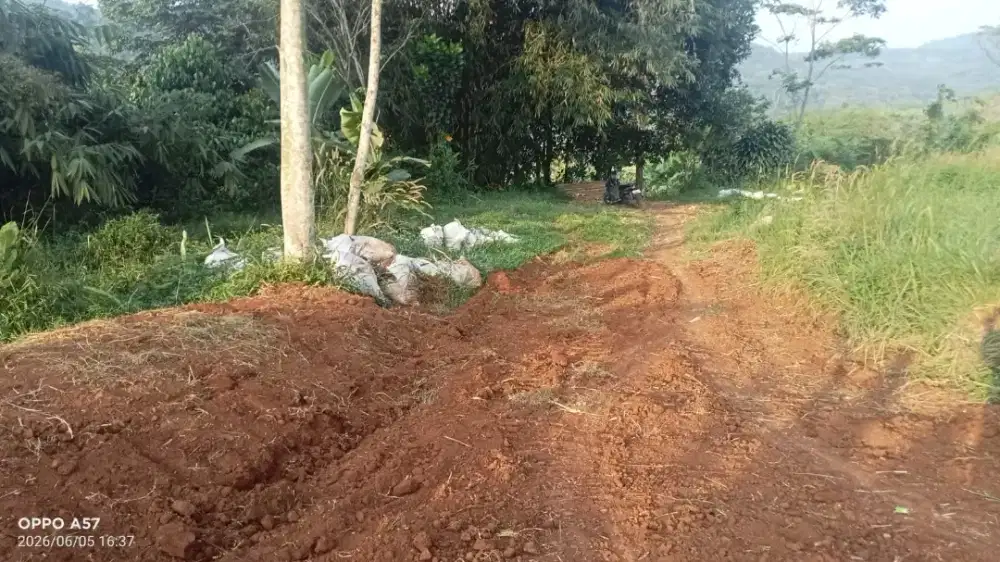 dijual lahan tanah sawah/kebun SHM