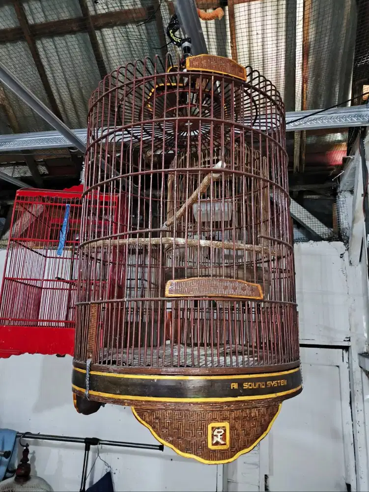 Sangkar bundar bekas burung kacer