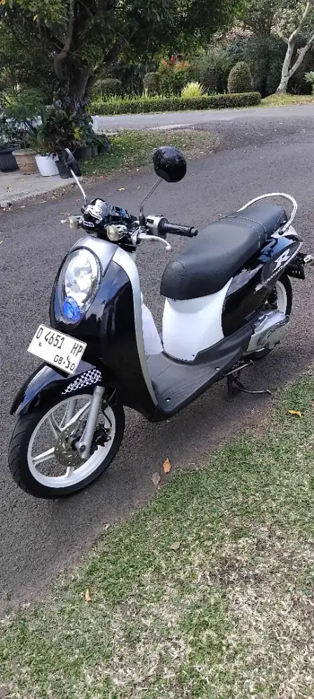 Scoopy violet putih langka