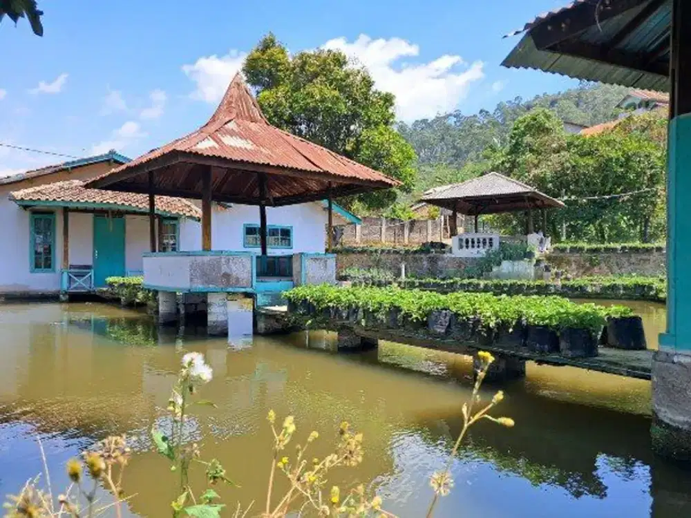 Dijual Villa & Penginapan 5.167 m² di Ciwidey Bandung – Kebun Produktif, Kolam Ikan & 10 Kamar, SHM! Ref.05207