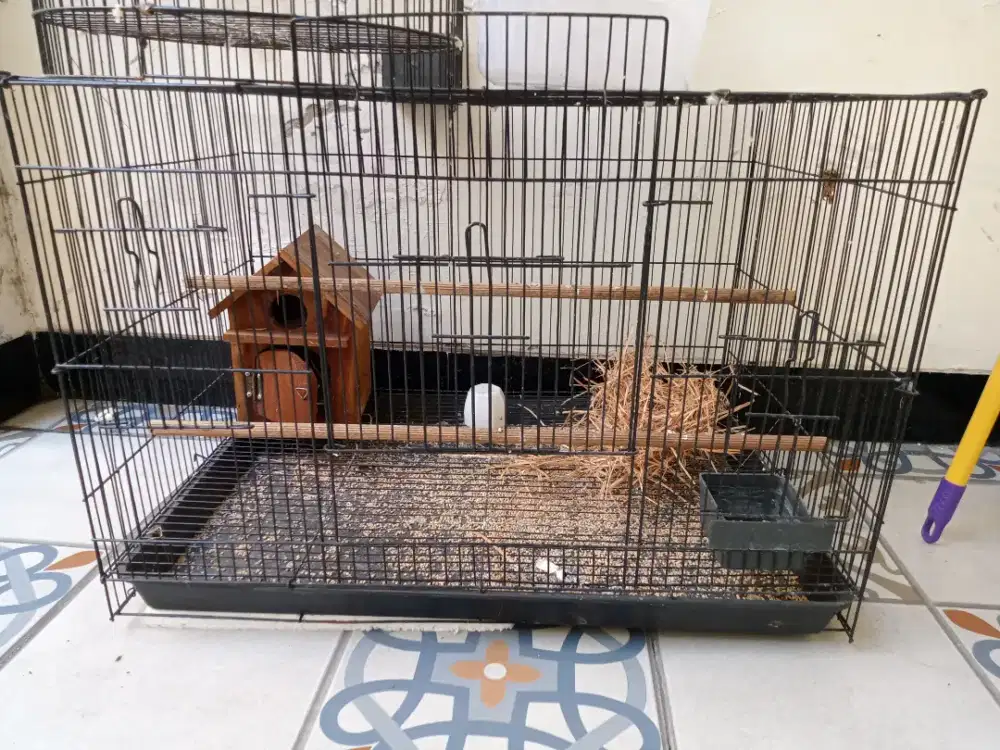 Jual sangkar kotak burung lovebird