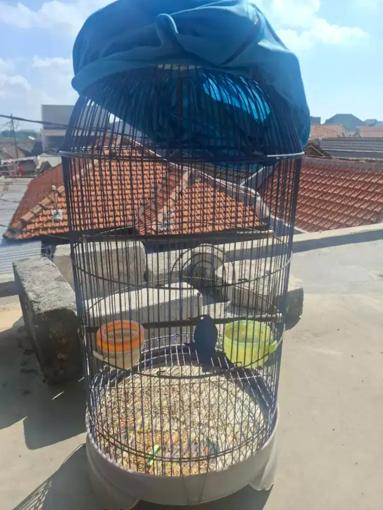 Sangkar burung bulat