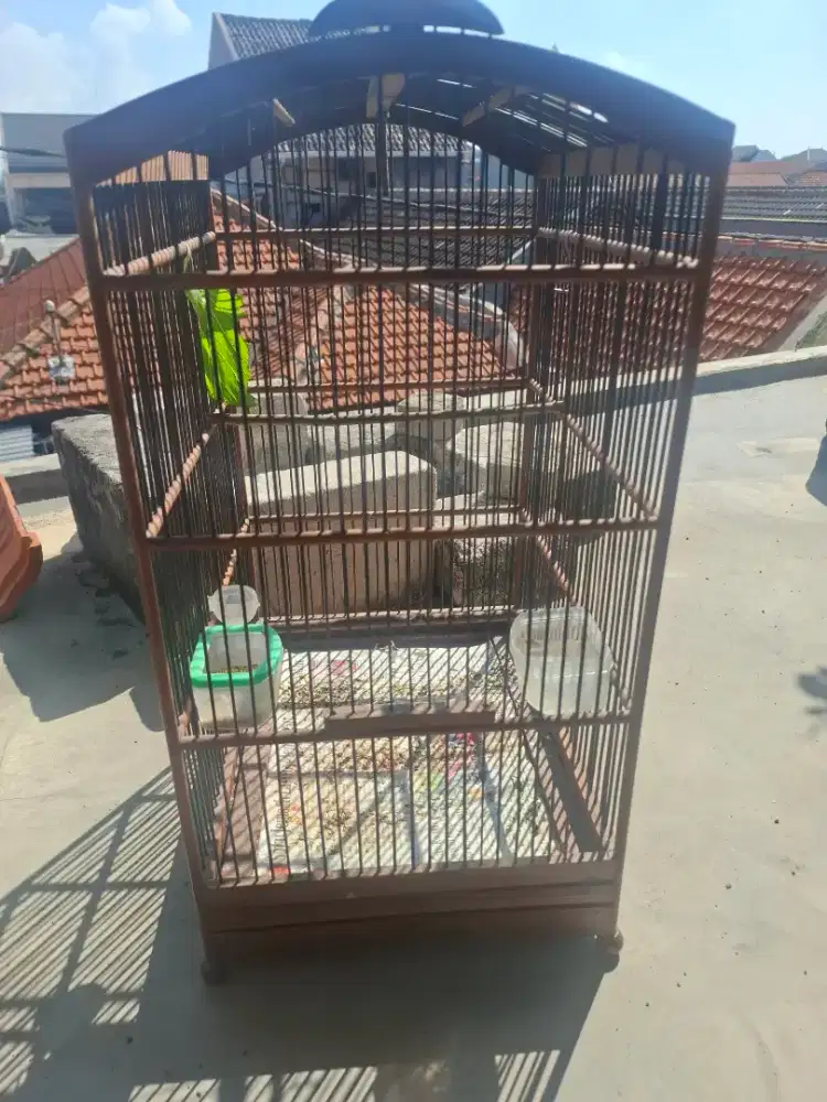 Sangkar burung nepak