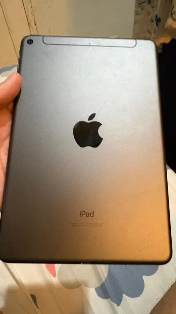Ipad mini 5 cellular 256GB