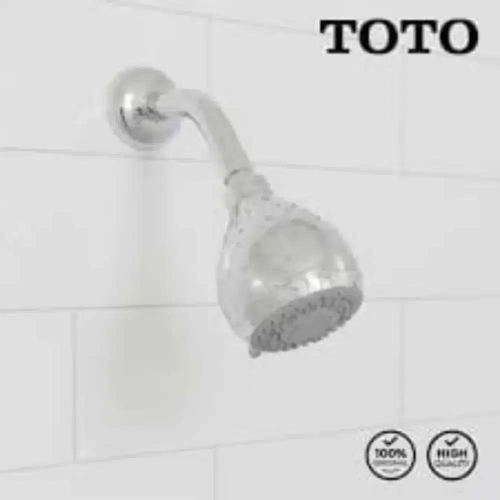 TOTO SHOWER HEAD  TX466SM