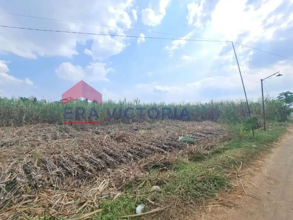 Tanah Strategis Dijual Kepanjen Malang Cocok Gudang & Usaha