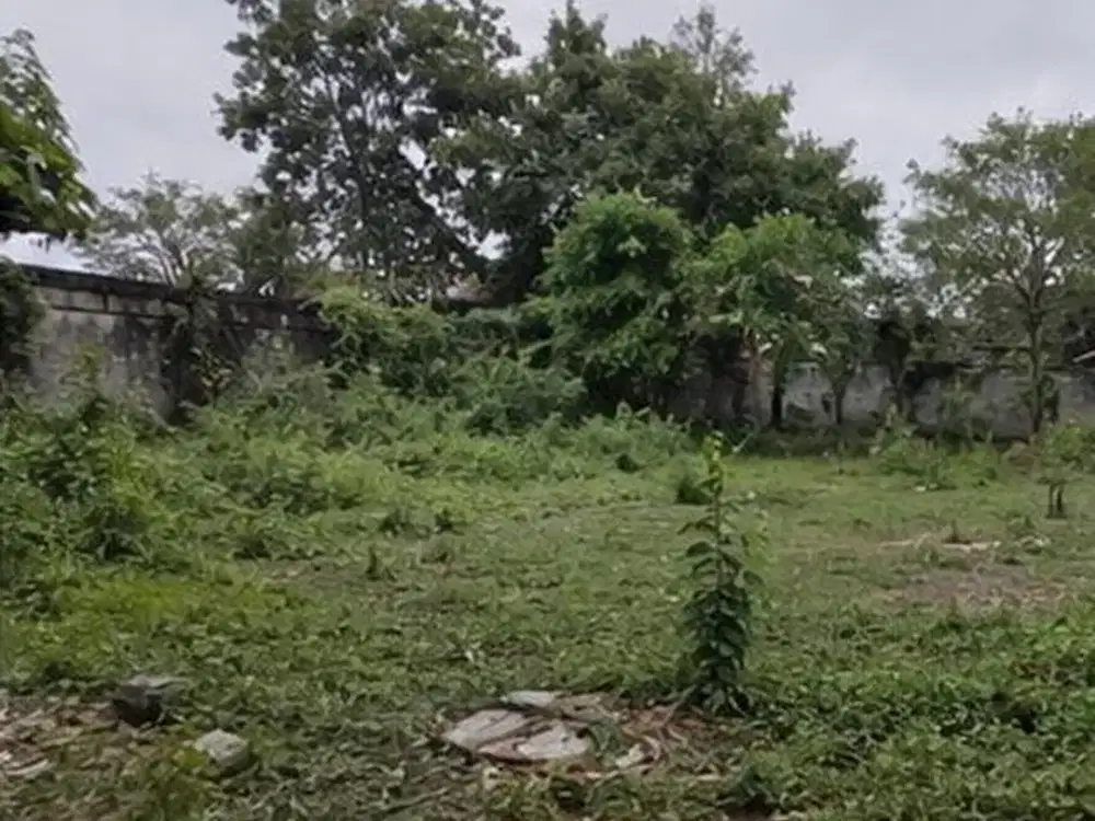 Tanah 28 Are Potensial Disewakan di Area Renon, Denpasar Selatan