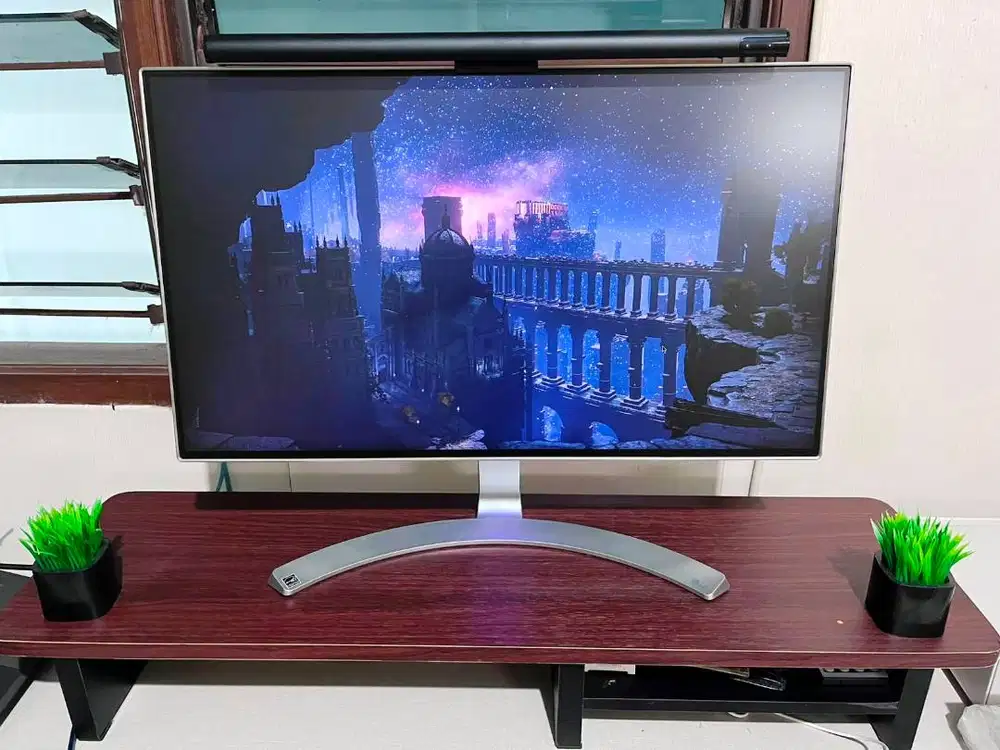 DESKTOP MONITOR 24 - LG24MK88
