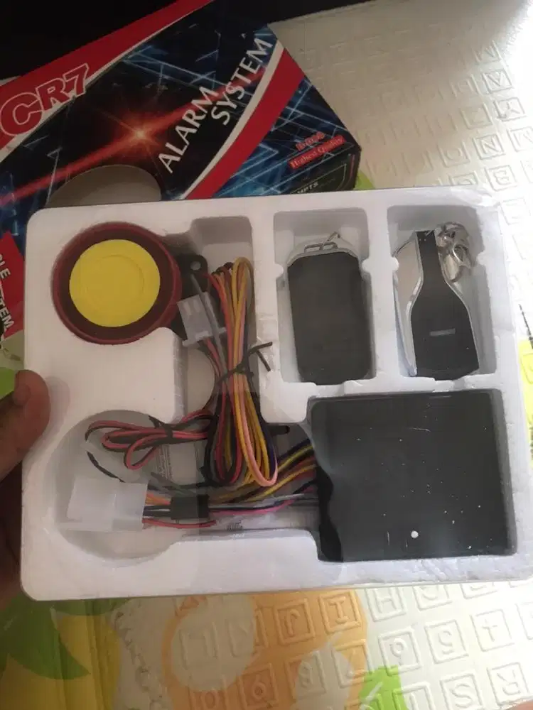 alarm system remot