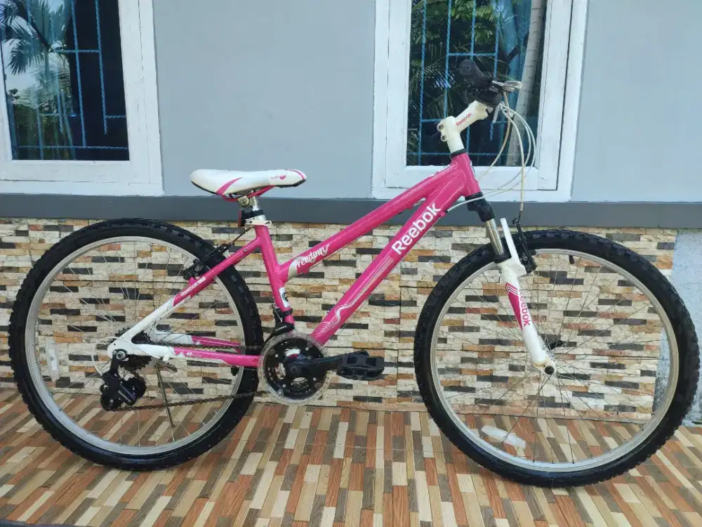 Sepeda Gunung Reebok