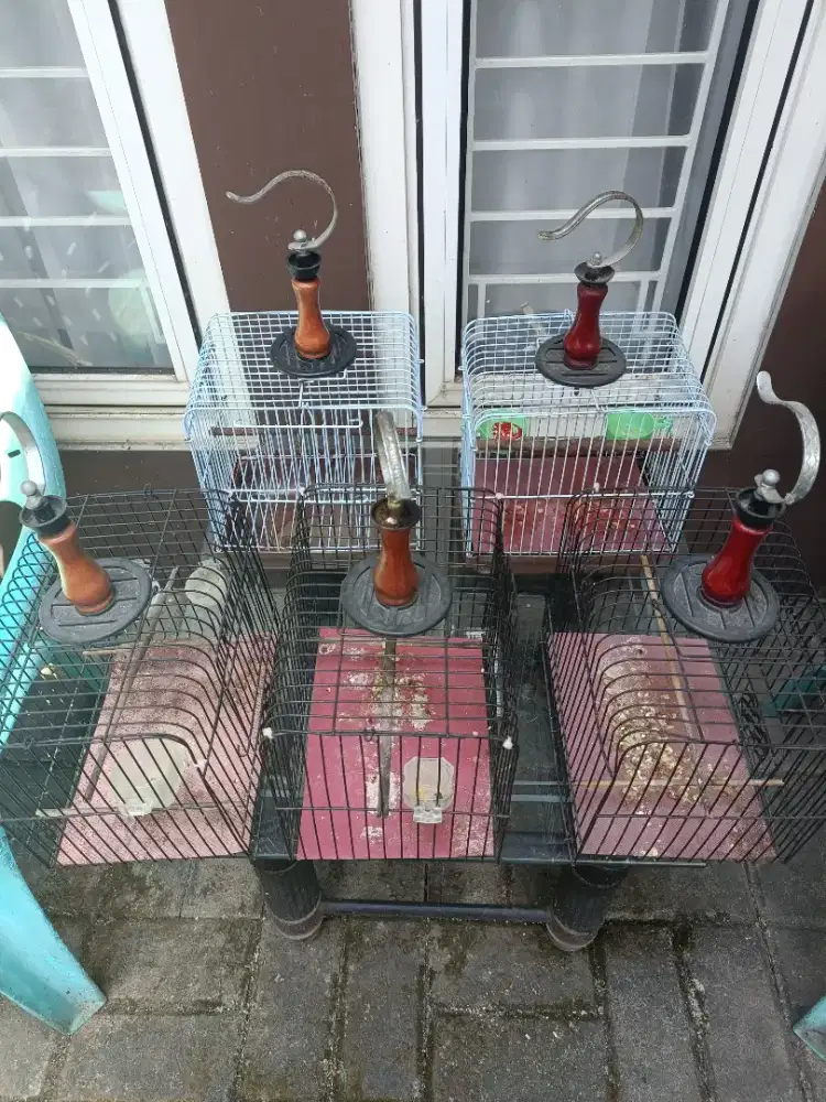 Kandang burung kecil