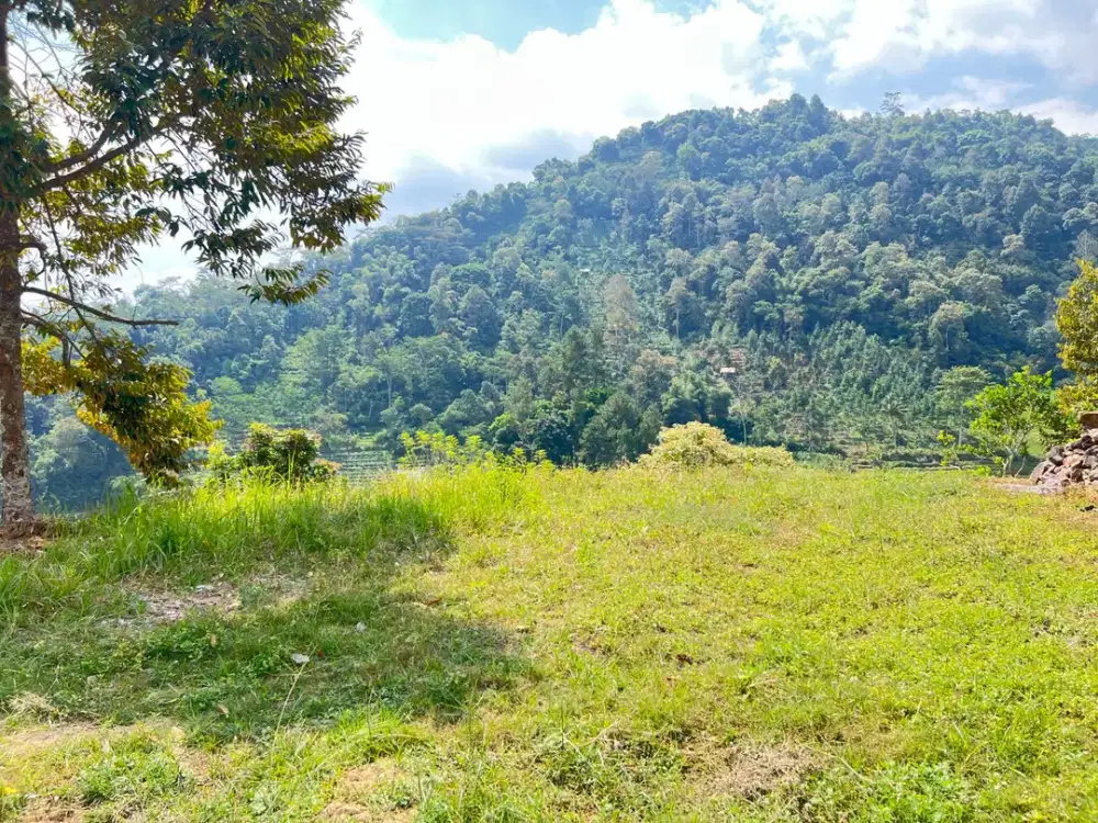 Tanah 630m² Kawasan Wisata Tawangmangu Cocok Untuk Villa