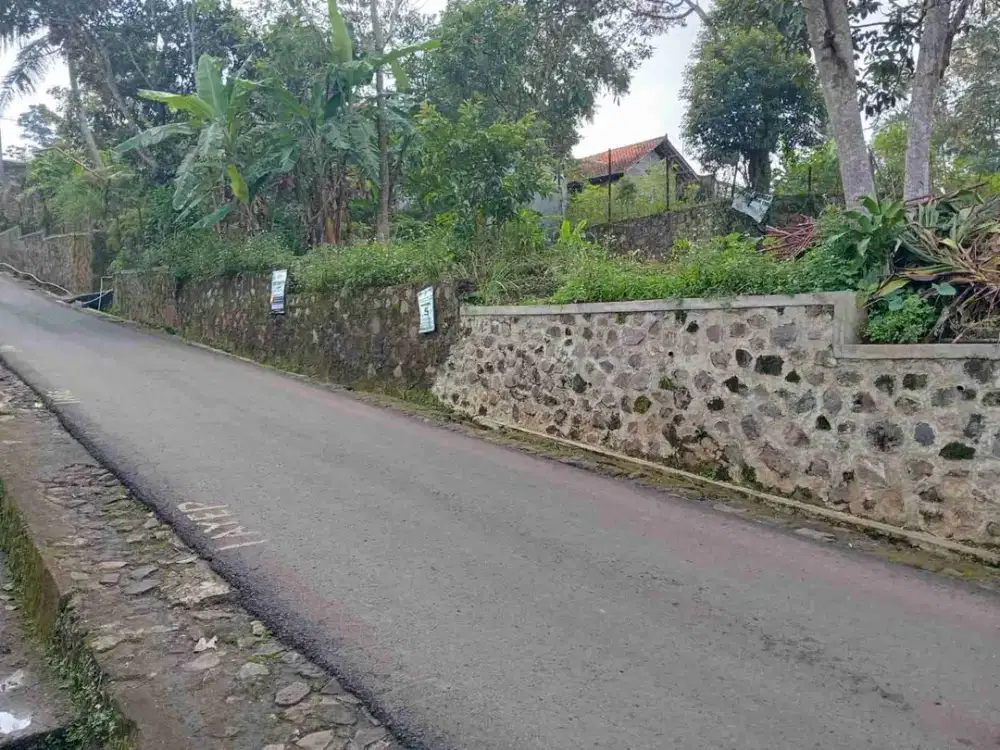 Tanah pinggir jalan utama