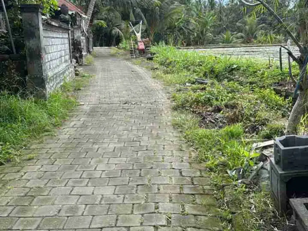 tanah tegalalang ubud bali