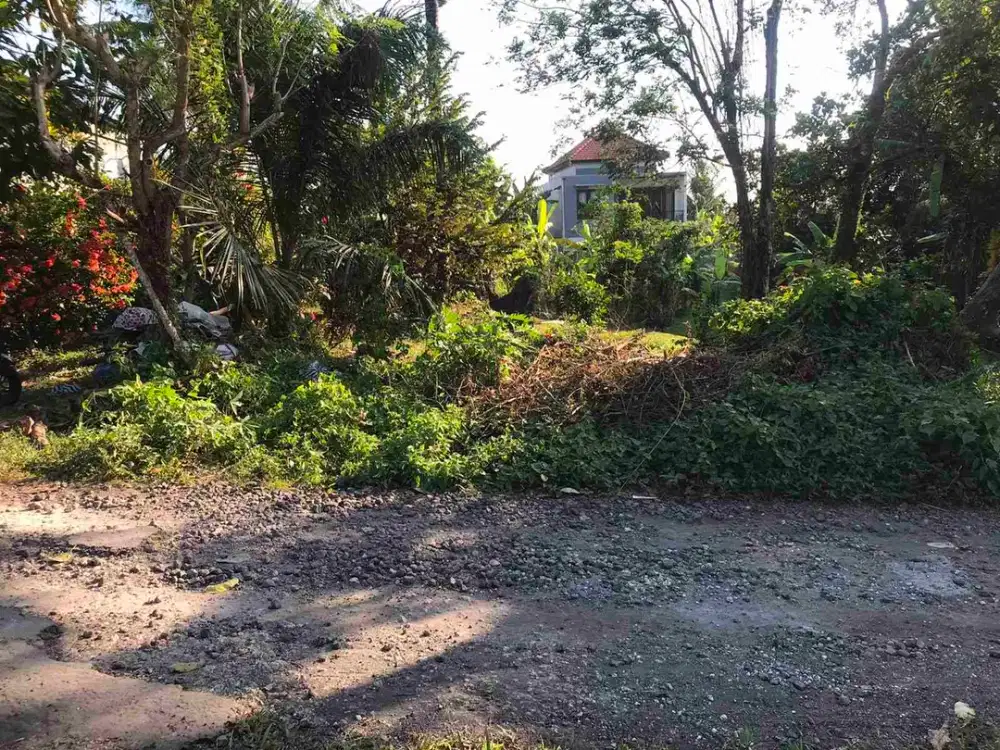 Tanah 2 Are Jalan Anyelir Tabanan Bali