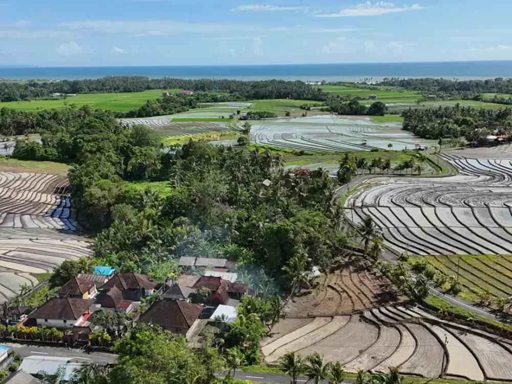 Tanah Strategis View Sawah & Gunung Beraban Selemadeg Tabanan