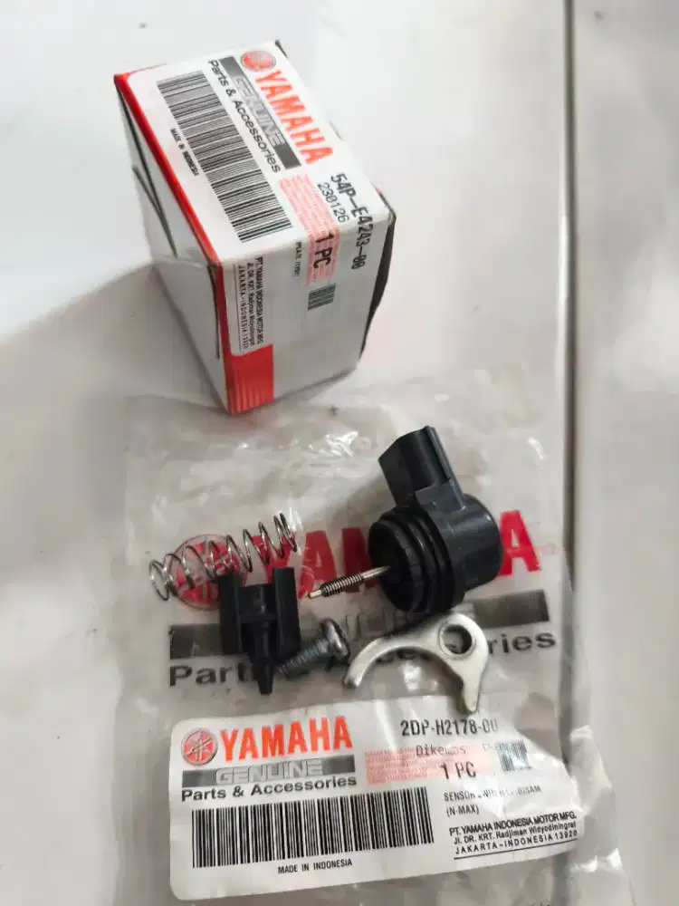 Sensor ISC Nmax Old 100k Net.