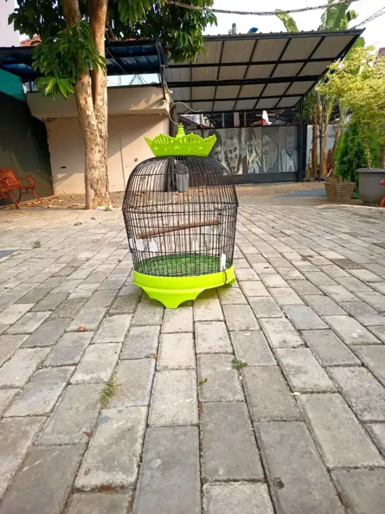 Kandang Burung Puter, Sangkar Burung