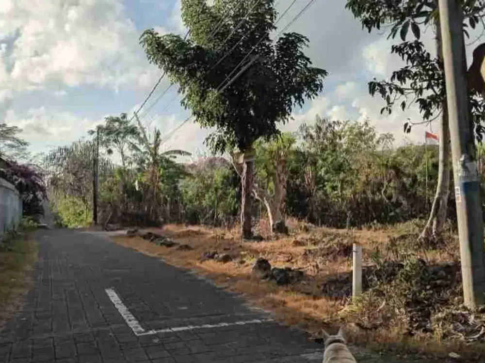 tanah dekat hotel sintesa Jimbaran bali
