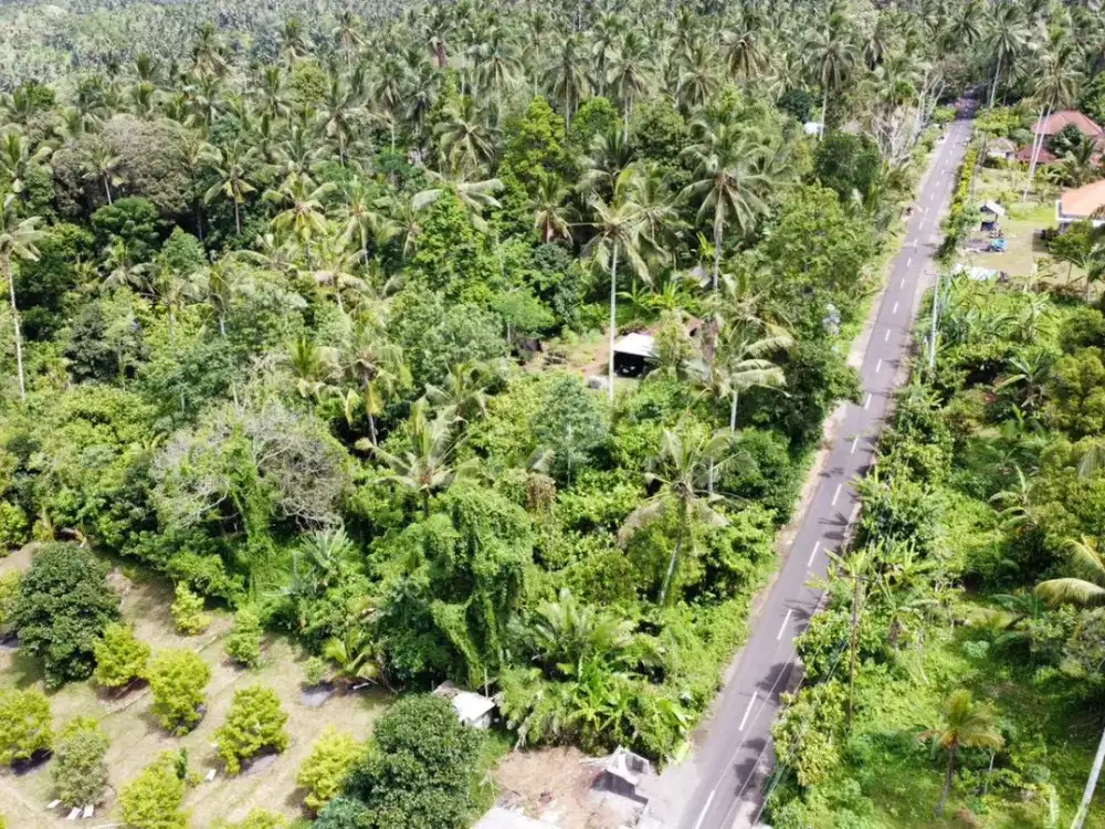 Tanah Strategis Gunung Salak Selemadeg Tabanan Bali