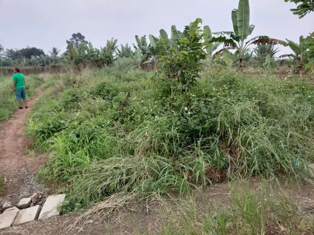Dijual Cepat Tanah Kavling Taman Firdaus Desa Cibungbulang Bogor